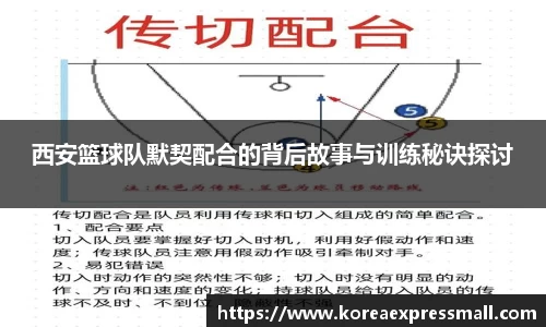 西安篮球队默契配合的背后故事与训练秘诀探讨